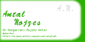 antal mojzes business card